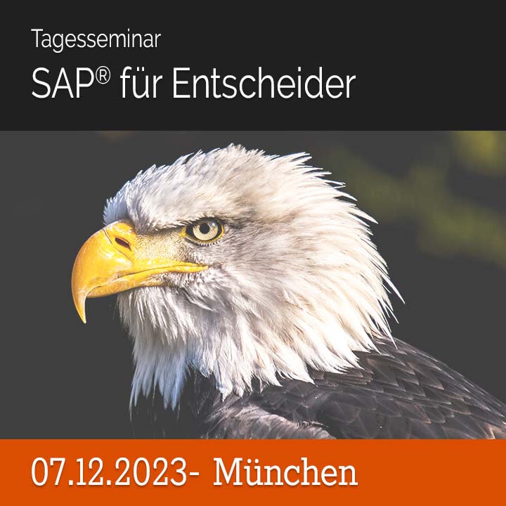 07.12.2023 - Tagesseminar SAP® für Entscheider - München
