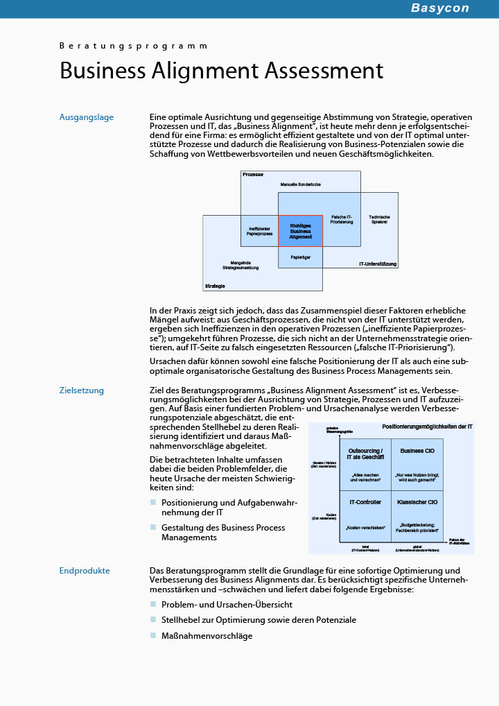 Beratungsprogramm Business Alignment Assessment