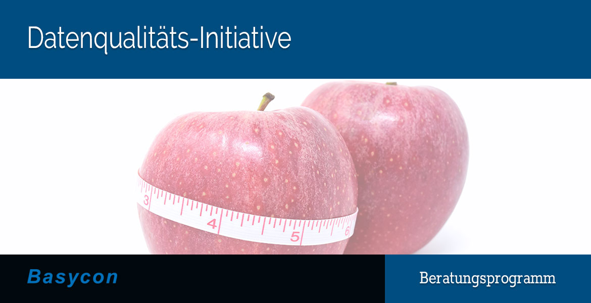 Datenqualitäts-Initiative