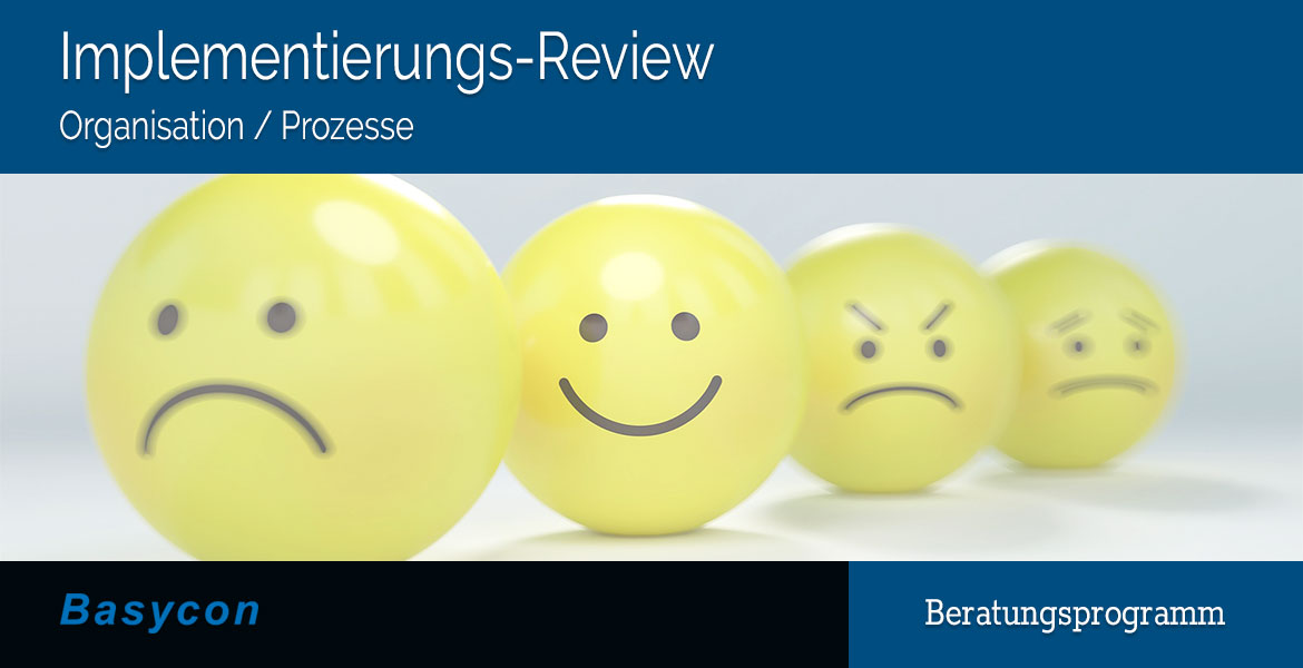 Implementierungs-Review Organisation/Prozesse