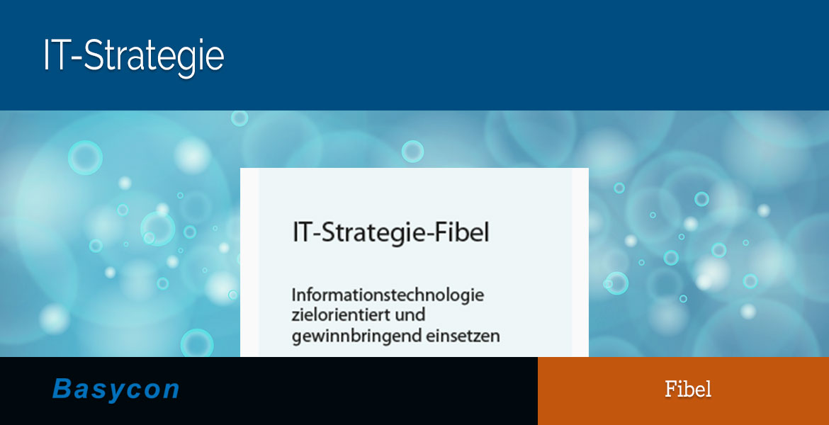 Fibel - IT-Strategie