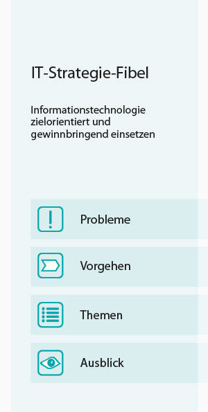 Fibel IT-Strategie
